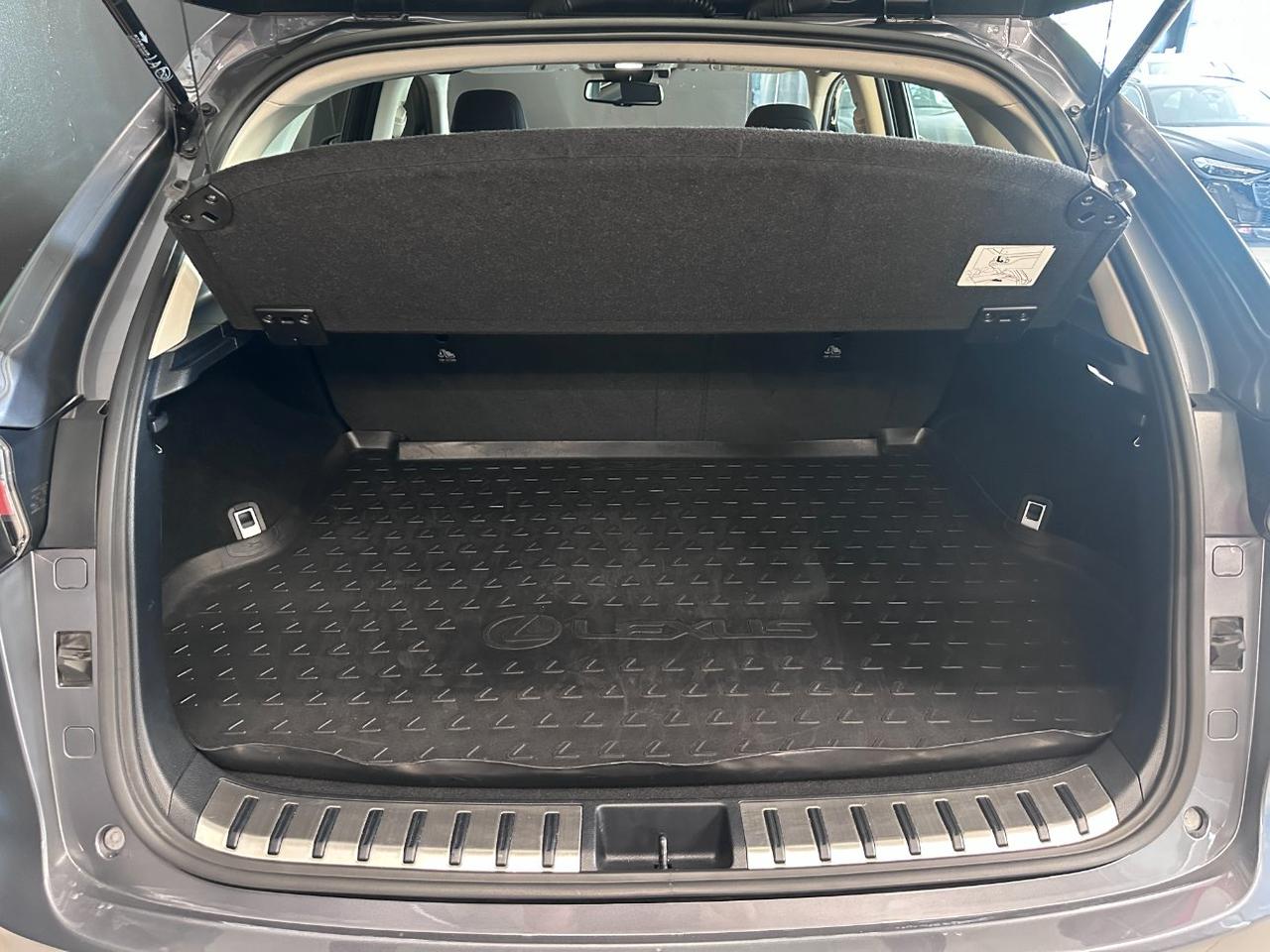 Lexus NX 300h 2.5 Business 2wd cvt