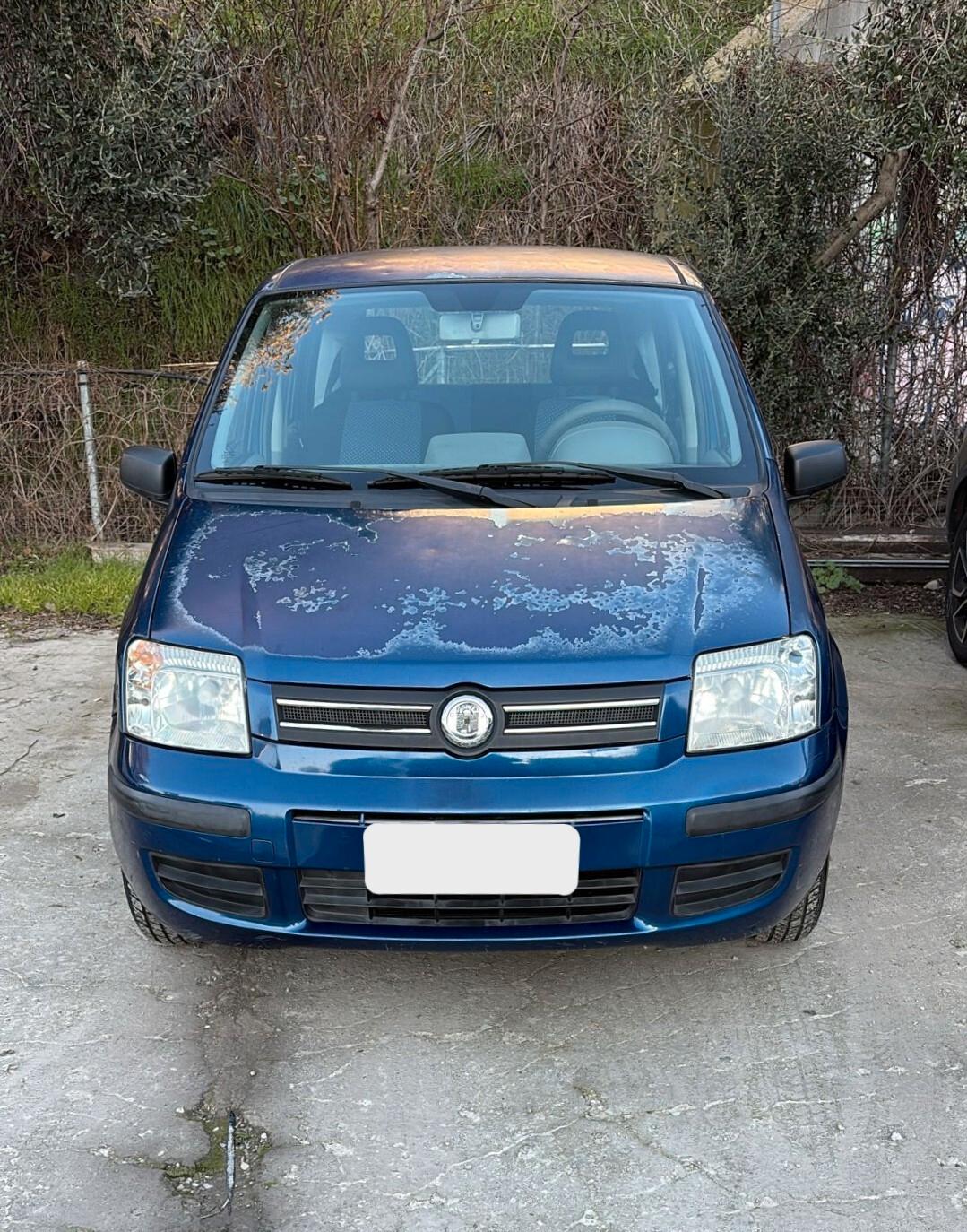 Fiat Panda 1.2 Emotion NEOPATENTATI