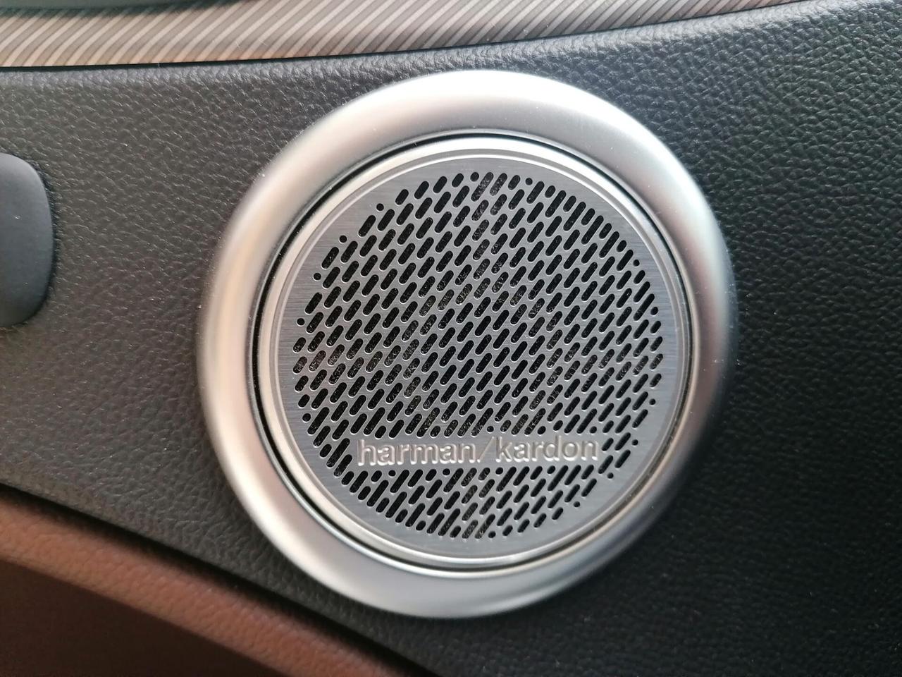 Alfa Romeo Stelvio 2.2 Turbodiesel 210 CV AT8 Q4 Executive TETTO NAVY PELLE H/K 20'