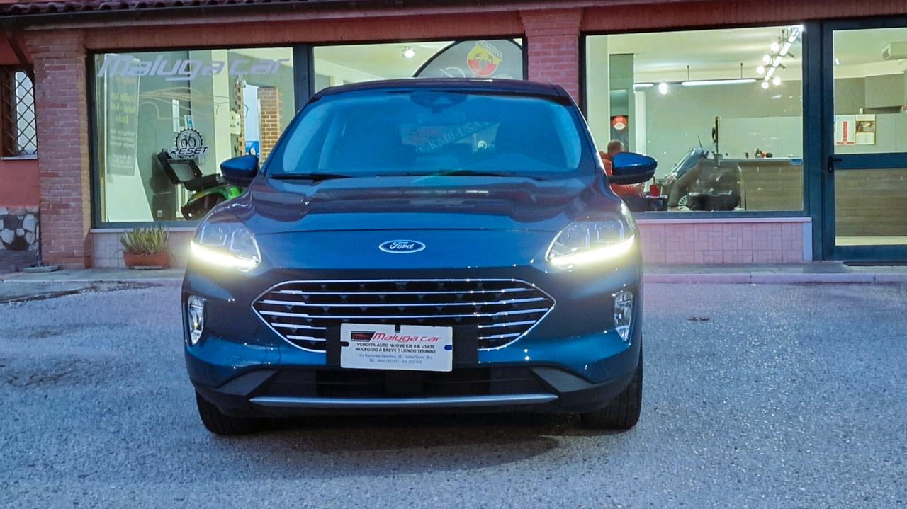 Ford Kuga 1.5 EcoBlue 120 CV 2WD Titanium