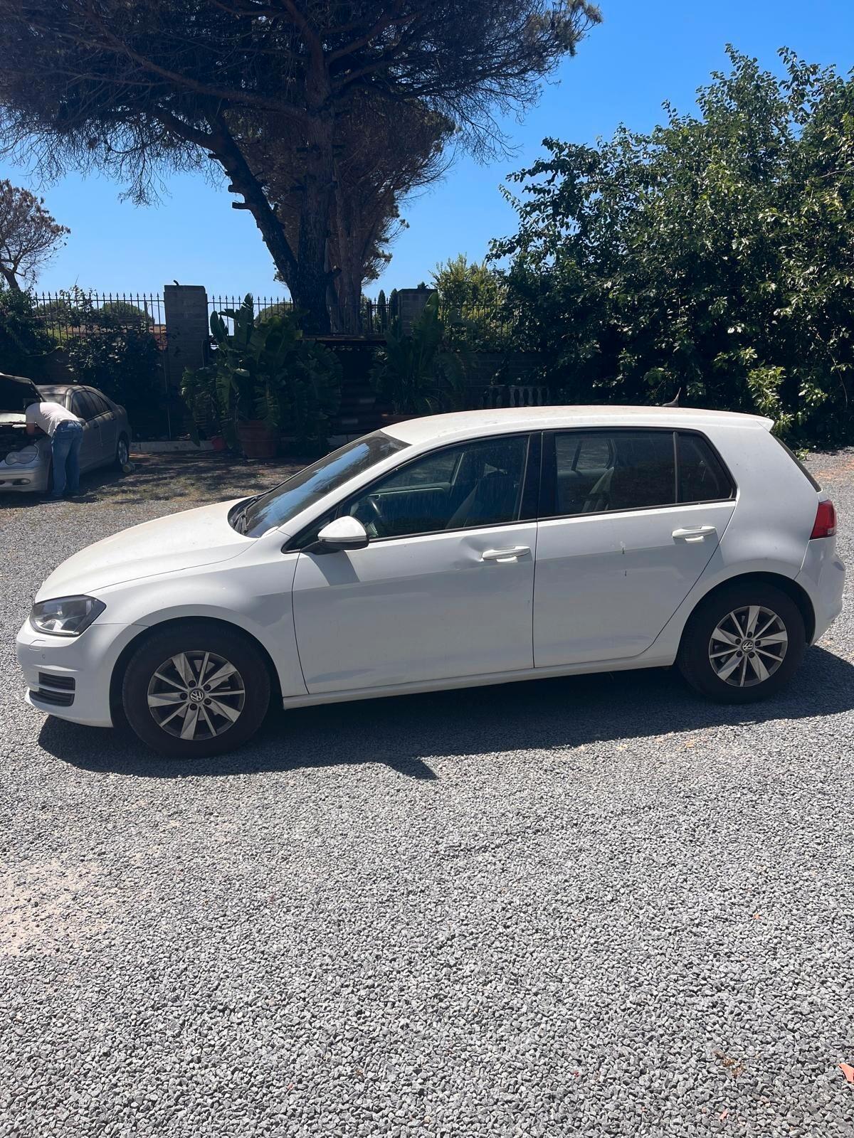 Volkswagen Golf Business 1.6 TDI 5p. Comfortline BlueMotion Technology