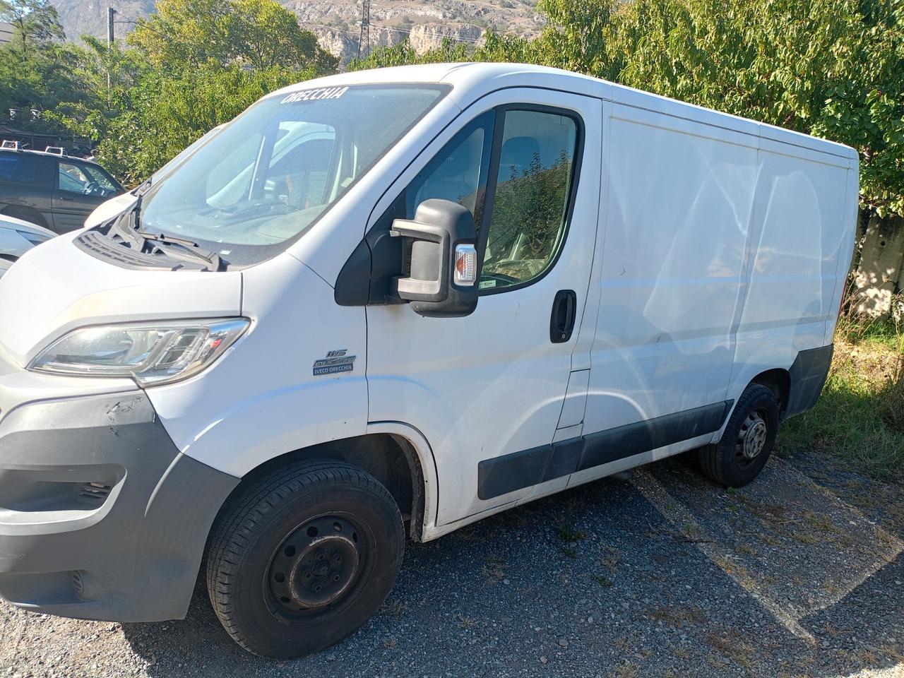 Fiat ducato Cassonato anno 2016 con garanzia