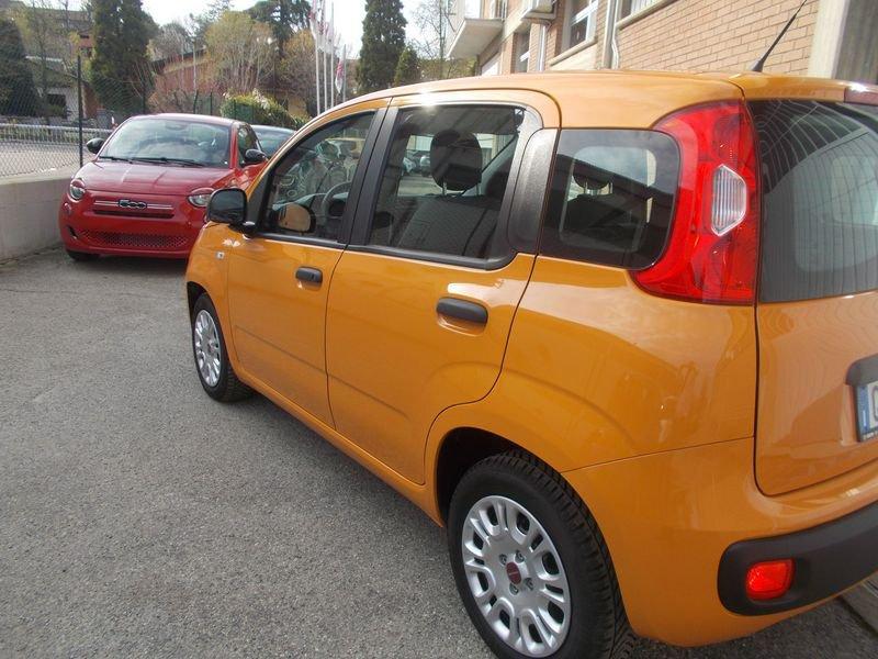 FIAT Panda 1.0 FireFly 70cv S&S Hybrid 338.7575187 MARCO MASSARI