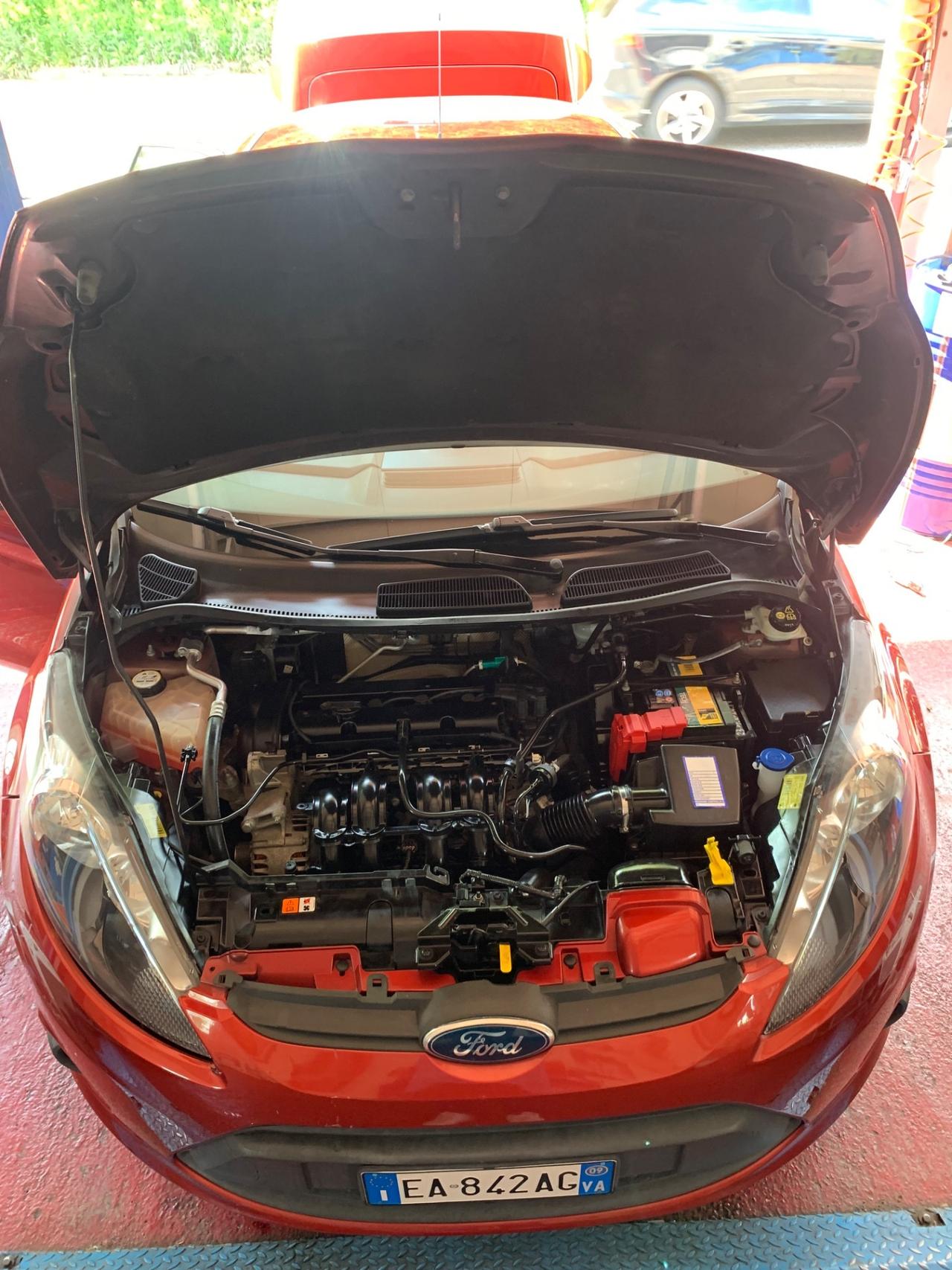 Ford Fiesta 1.2 82 CV 5 porte Titanium