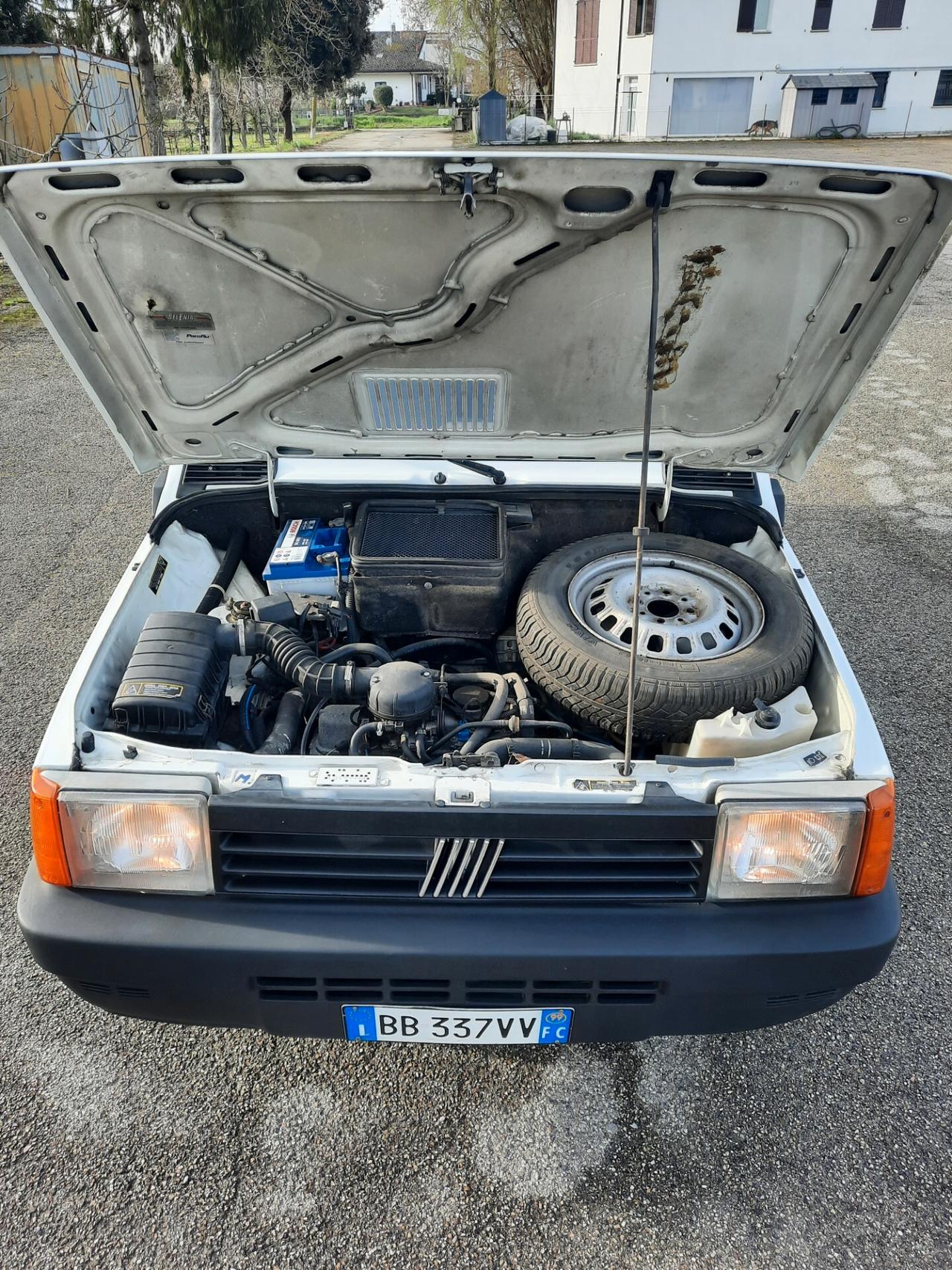 Fiat Panda 900 i.e. cat Young