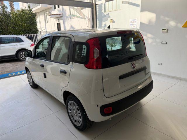 FIAT Panda 1.0 FireFly S&S Hybrid Pop da ?139,00 mensili
