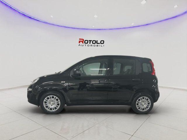 FIAT Panda 1.0 FireFly S&S Hybrid Icon