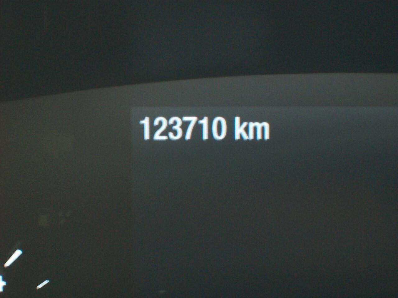FORD FOCUS 1.5 TDCI CV.120 ST-Line EcoBLUE "2019"