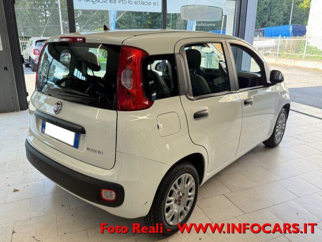 FIAT Panda Hybrid 1.0 FireFly 70 cv Neopatentati - PROMO