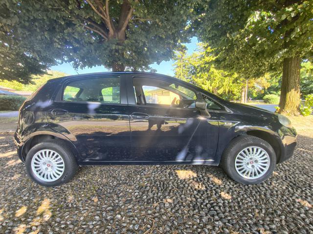 FIAT Punto 1.4 8V 5 porte Natural Power