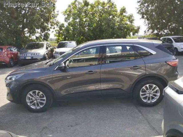 FORD Kuga Kuga 1.5 ecoblue Titanium Business 2wd 120cv auto