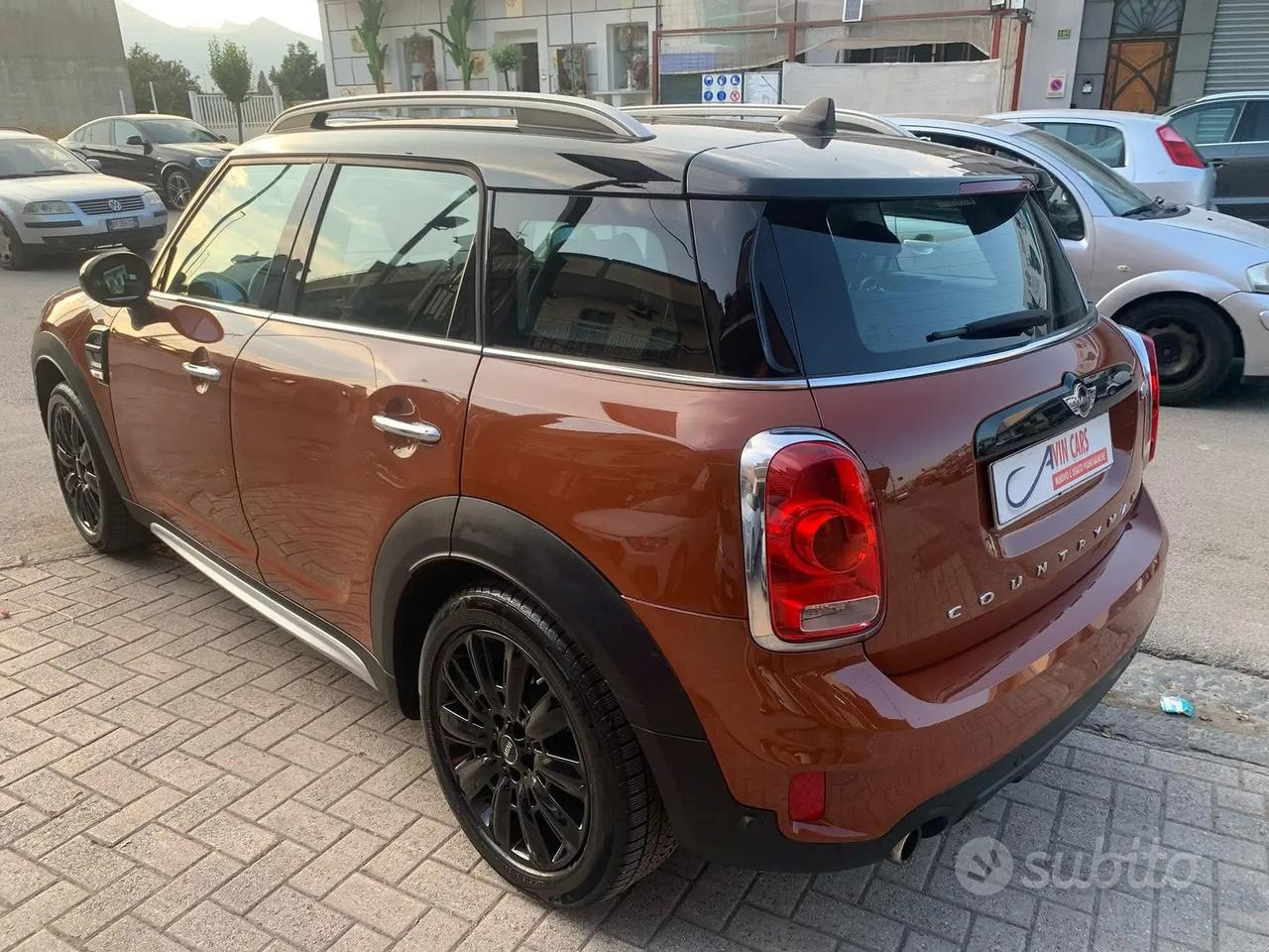 Mini cauntryman