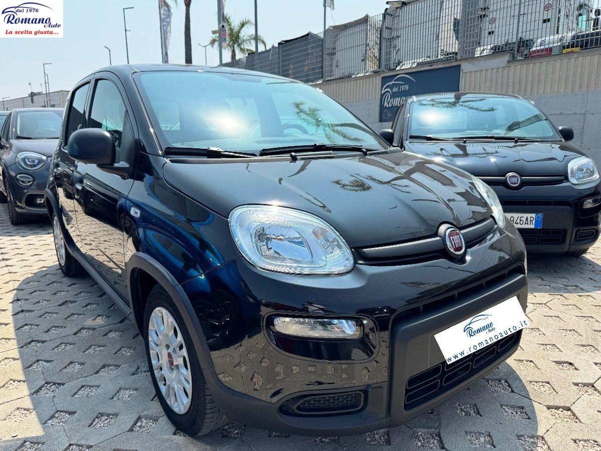 FIAT - Panda 1.0 firefly hybrid 70cv#SOLO 11600KM!