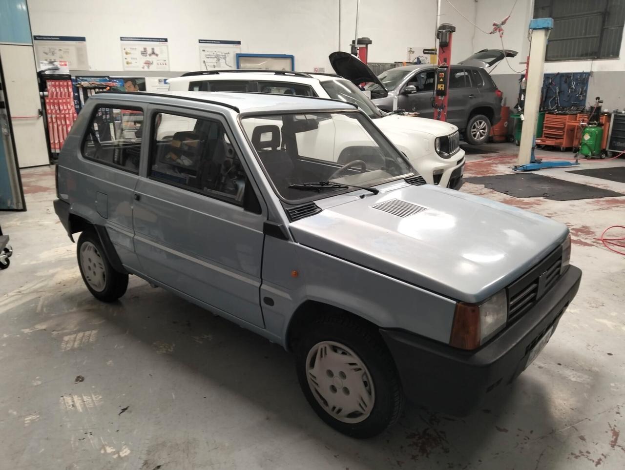 Fiat Panda 1100 i.e. cat College