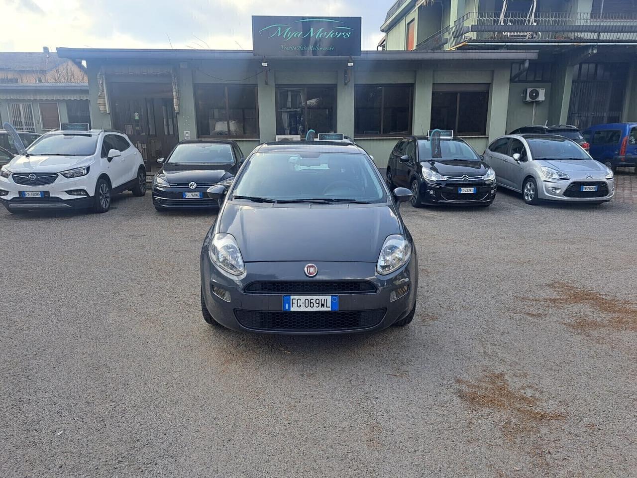 Fiat Punto 1.4 8V 5 porte Easypower Lounge