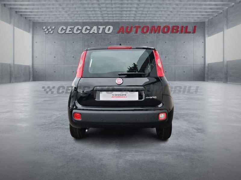 FIAT Panda Panda 1.0 firefly hybrid s&s 70cv