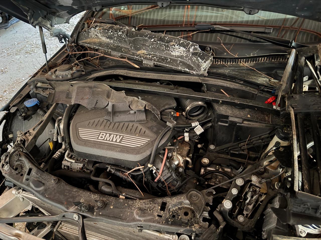 Bmw 118 118d 5p. Colorvision Edition