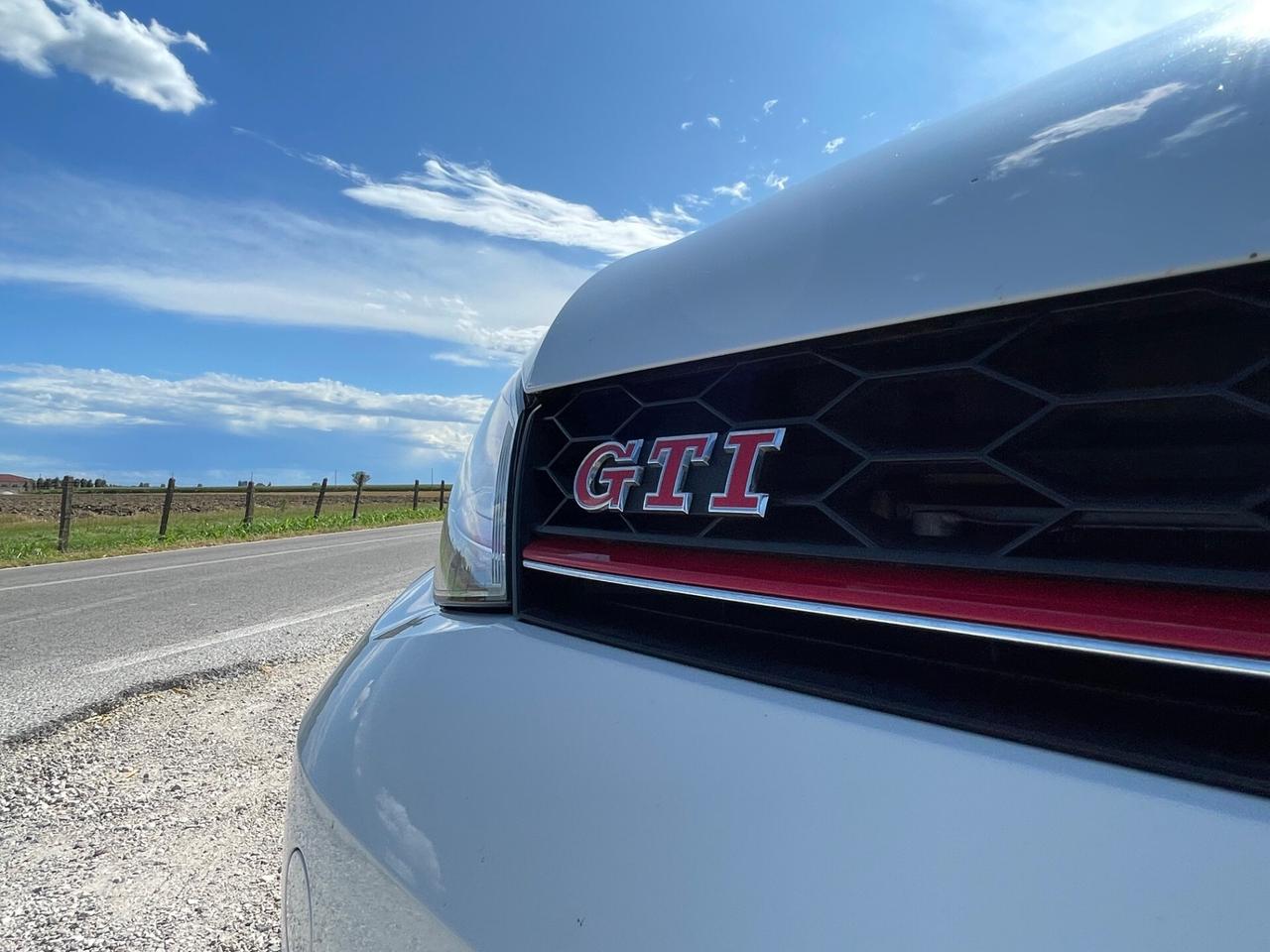 Volkswagen Golf GTI Golf GTI Performance 2.0 TSI 5p. BlueMotion Technology