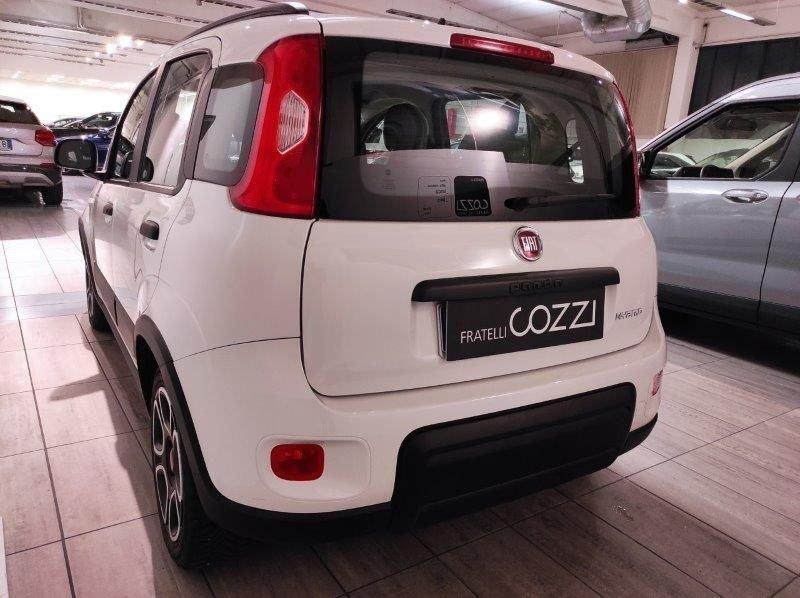 FIAT Panda 3ª serie 1.0 FireFly S&S Hybrid City Life