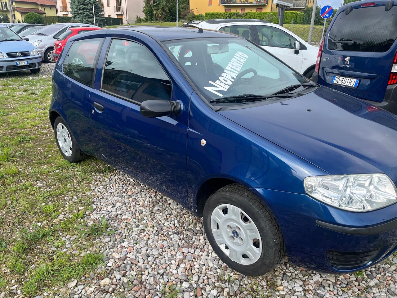 Fiat Punto 1.2 B 3 porte Dynamic Ok Neopatentato