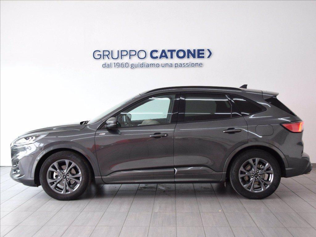 FORD Kuga 1.5 ecoblue ST-Line 2wd 120cv auto del 2023