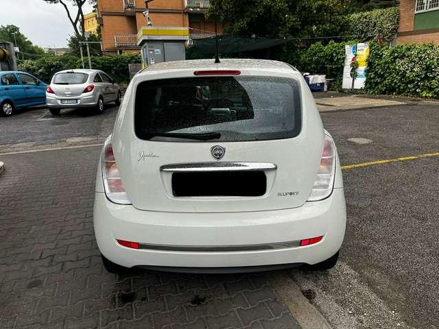 Lancia Ypsilon Ypsilon 1.2 8v Elle 69cv