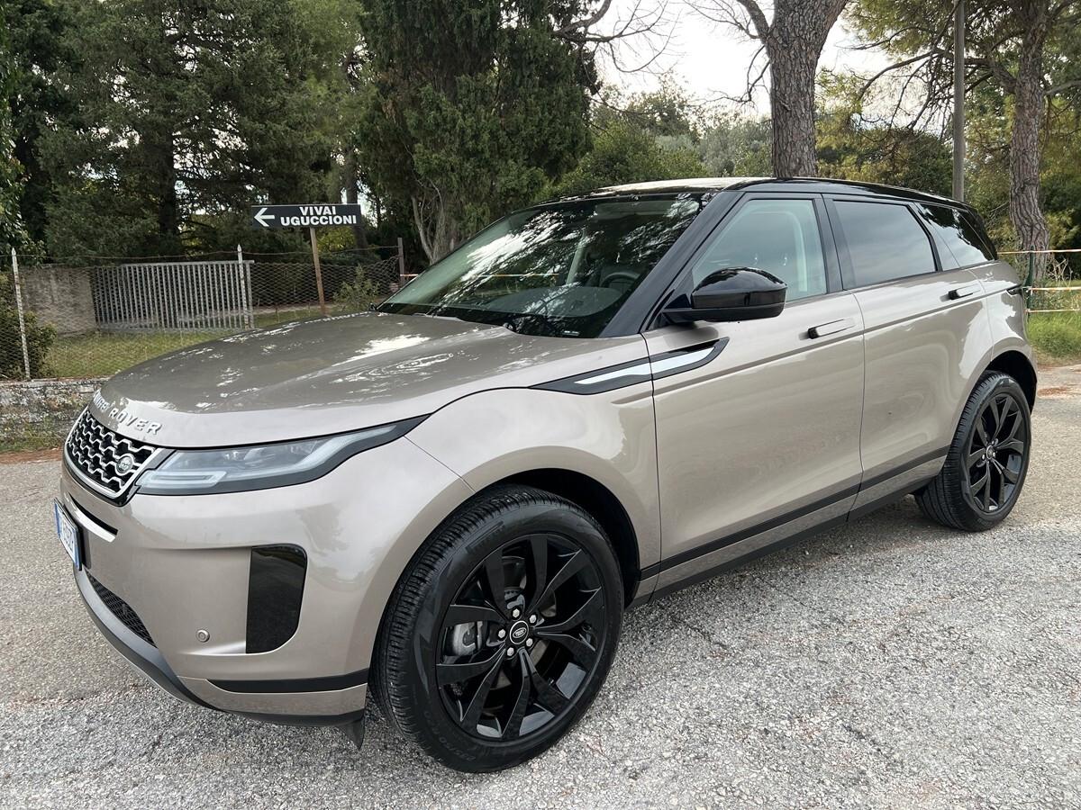 Land Rover Range Evoque 1.5 I3 160 CV Auto SE