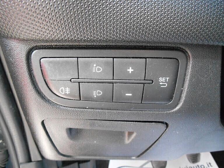 Fiat Punto 1.2 8V 5 porte Young NEOPATENTATI