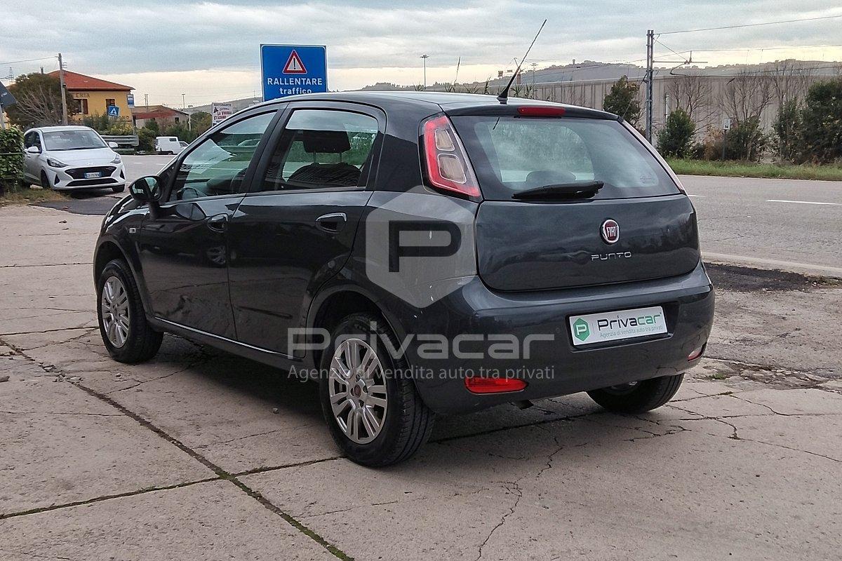 FIAT Punto 1.4 8V 5 porte Natural Power Street