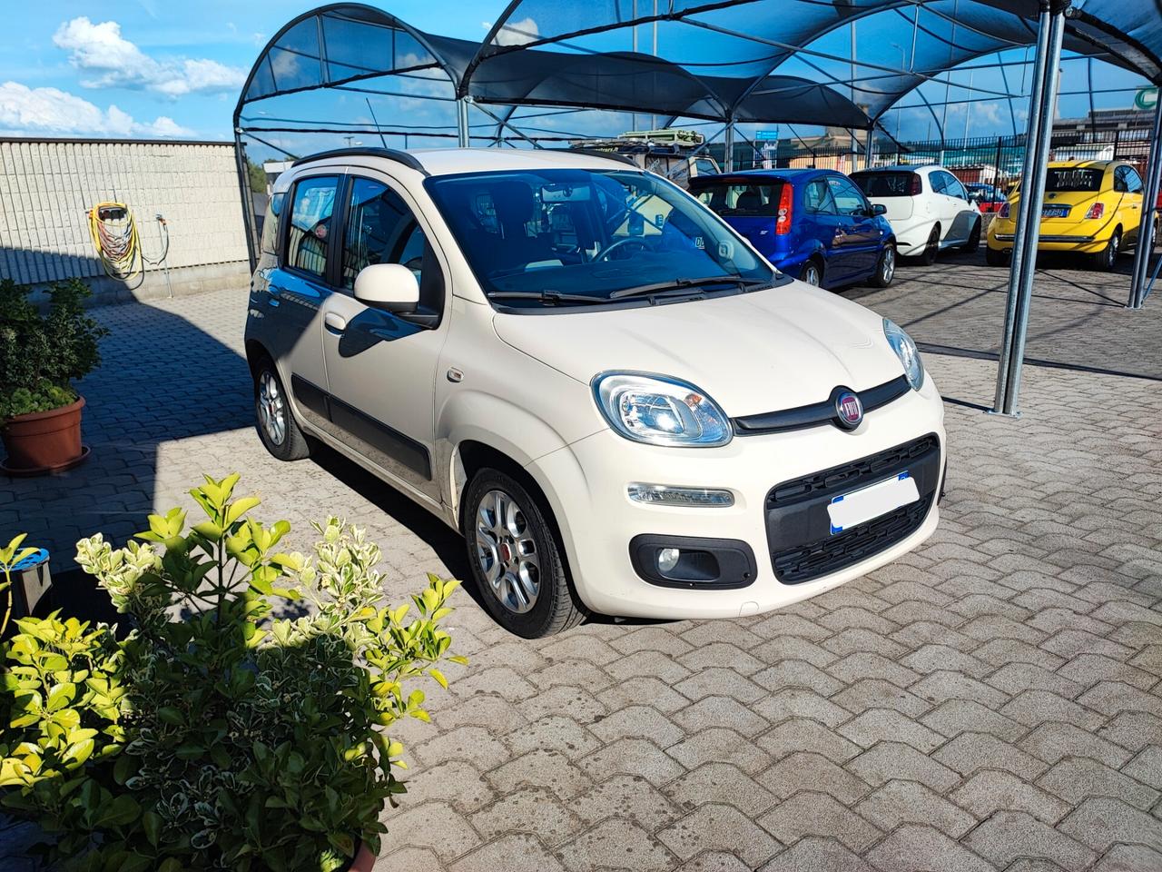 Fiat Panda 1.2 Pandazzurri