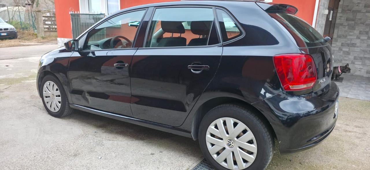 Volkswagen Polo 1.2 70 CV 5p. Comfortline benzina