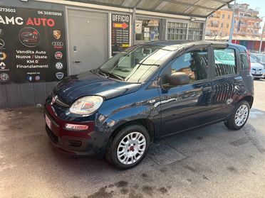 Fiat Panda 1.2 Easy NEOPATENTATI - UFFICIALE ITALIA - KM CERTIFICATI