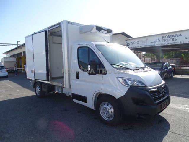 OPEL Movano CELLA ISOTERMICA -20° CON PARATIA MOBILE FRCX