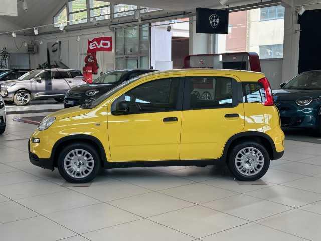 Fiat Panda 1.0 FireFly S&S Hybrid