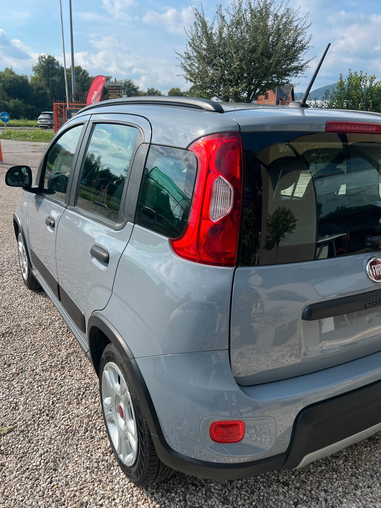 Fiat Panda 1.0 FireFly S&S Hybrid