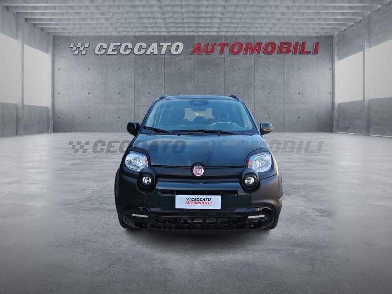 FIAT Panda Pandina 1.0 70 cv Hybrid