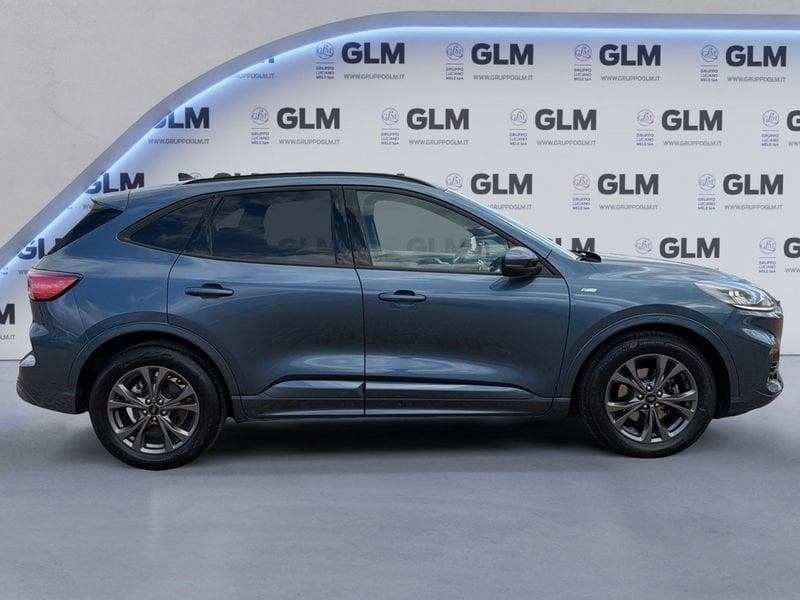 Ford Kuga Kuga 1.5 TDCI 120 CV S&S 2WD ST-Line