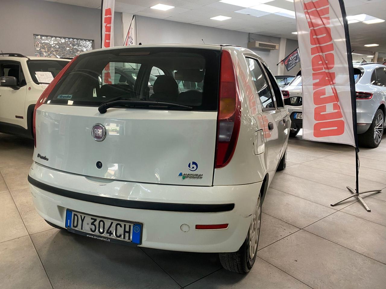 Fiat Punto Classic 1.2 5 porte Natural Power Active