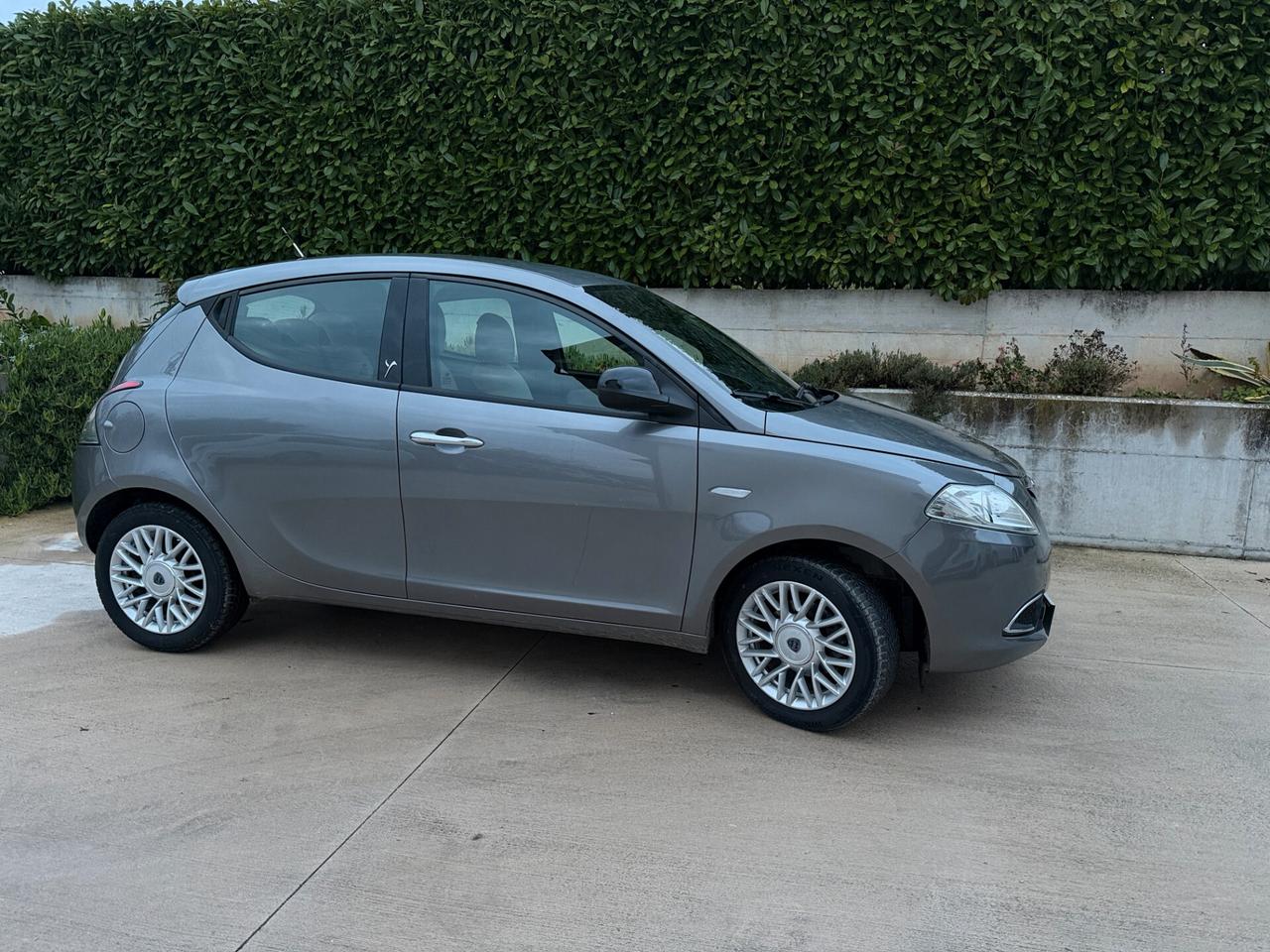 Lancia Ypsilon 1.2 69 CV 5 porte Platinum