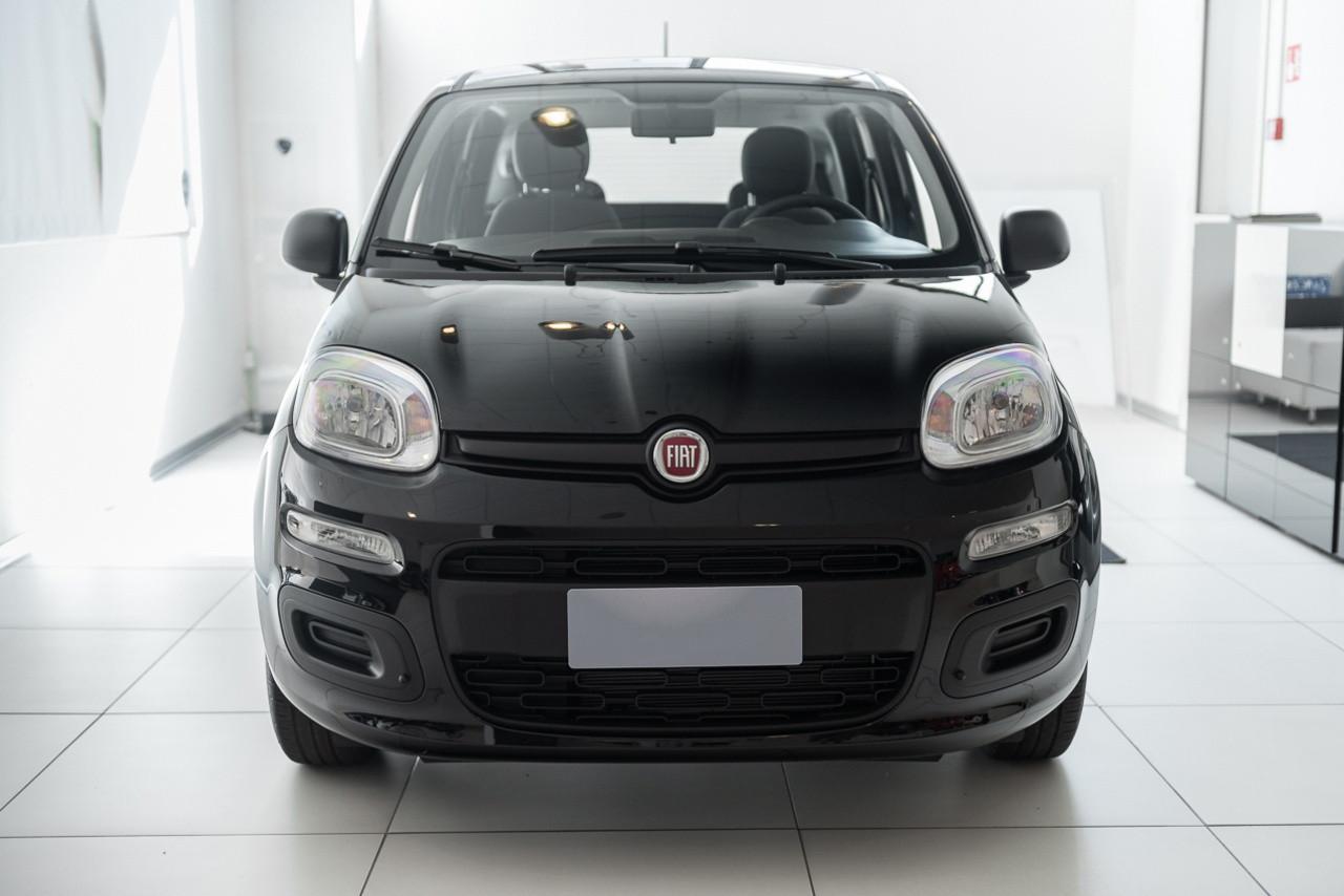 FIAT Panda III 2021 - Panda 1.0 firefly hybrid s&s 70cv
