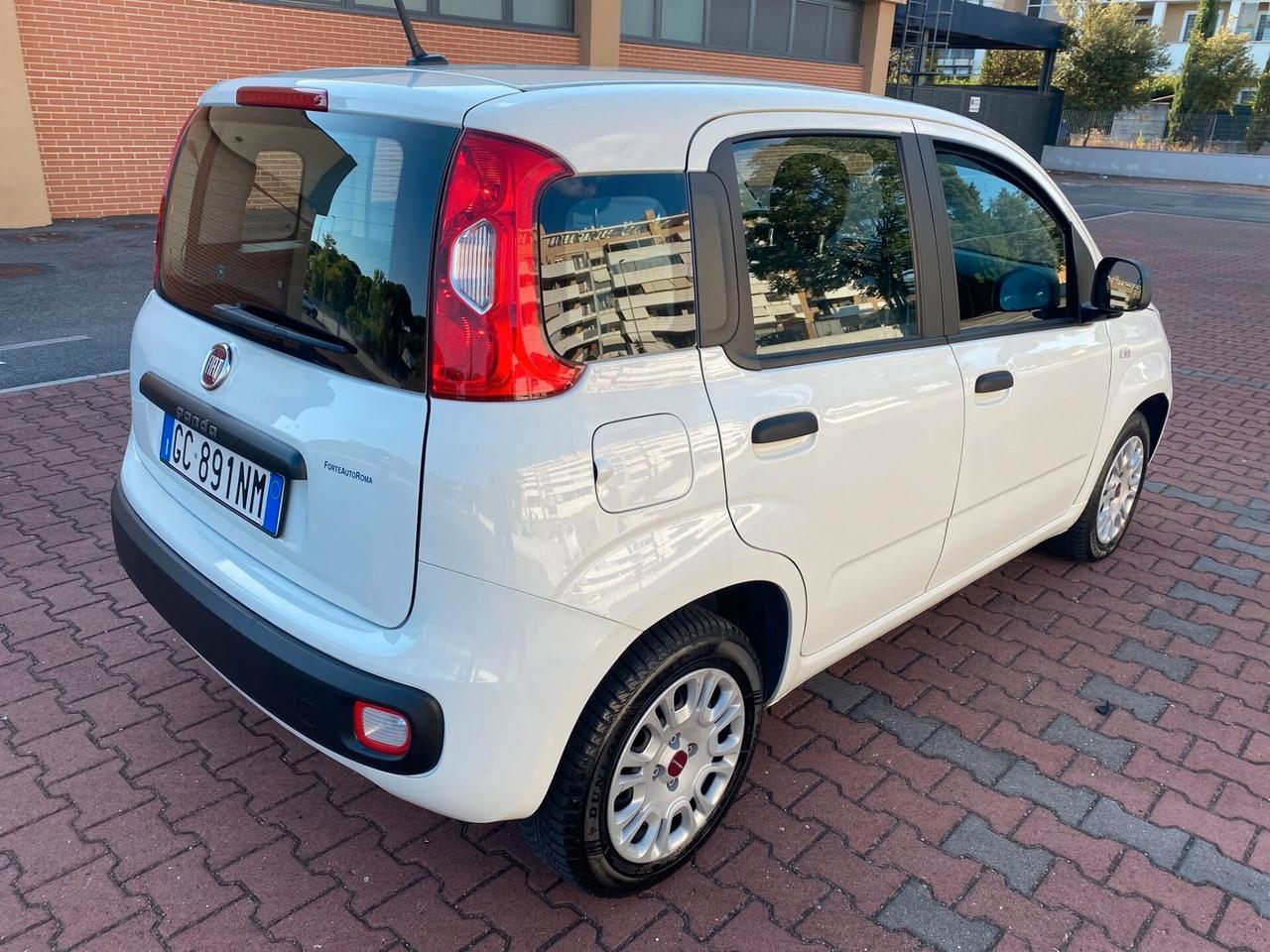 FIAT PANDA EASY 1.2cc IDONEA NEOPATENTATI