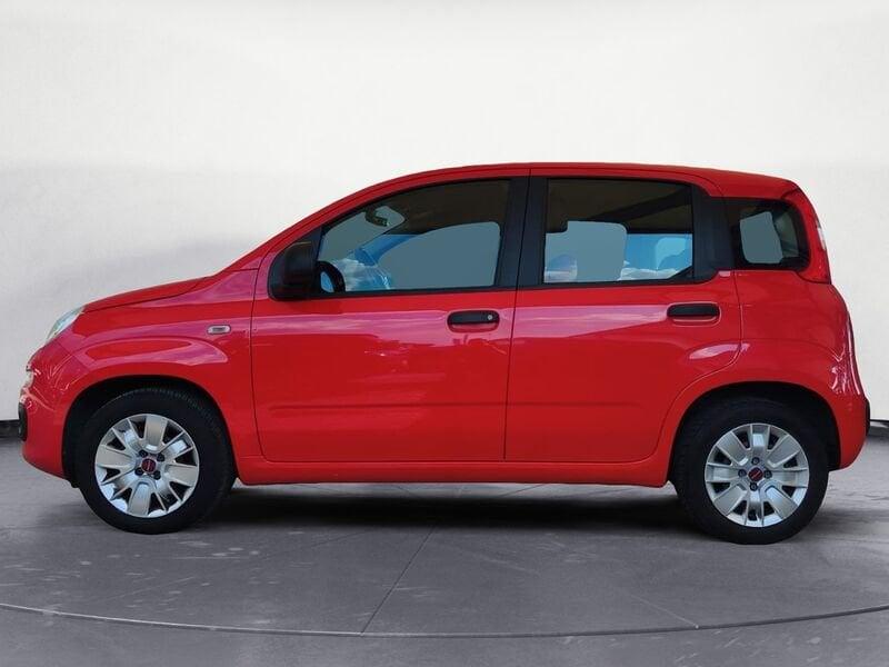 FIAT Panda 1.2 69cv E6 Easy
