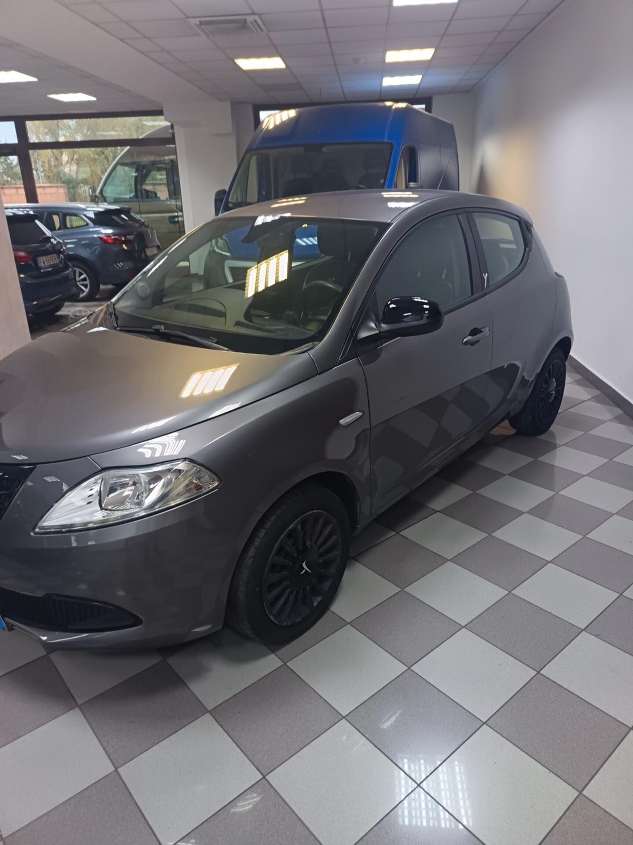 Lancia Ypsilon 1.2 69 CV 5 porte Elefantino