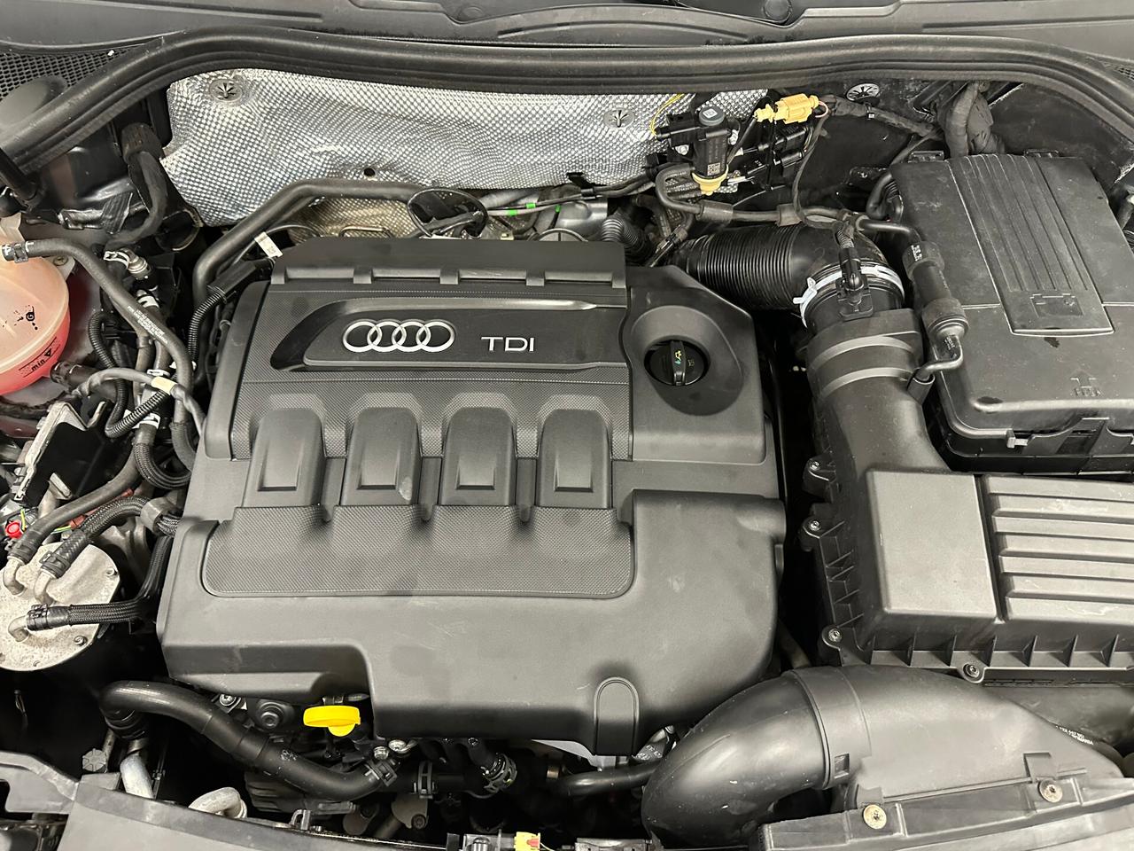 Audi Q3 2.0 TDI 150 CV quattro Business - 2017