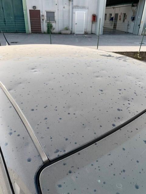 Fiat Punto Evo Pop