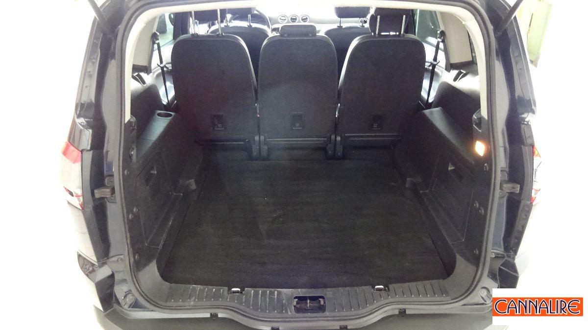 FORD - S-Max - 2.0 TDCi 163CV Titanium DPF