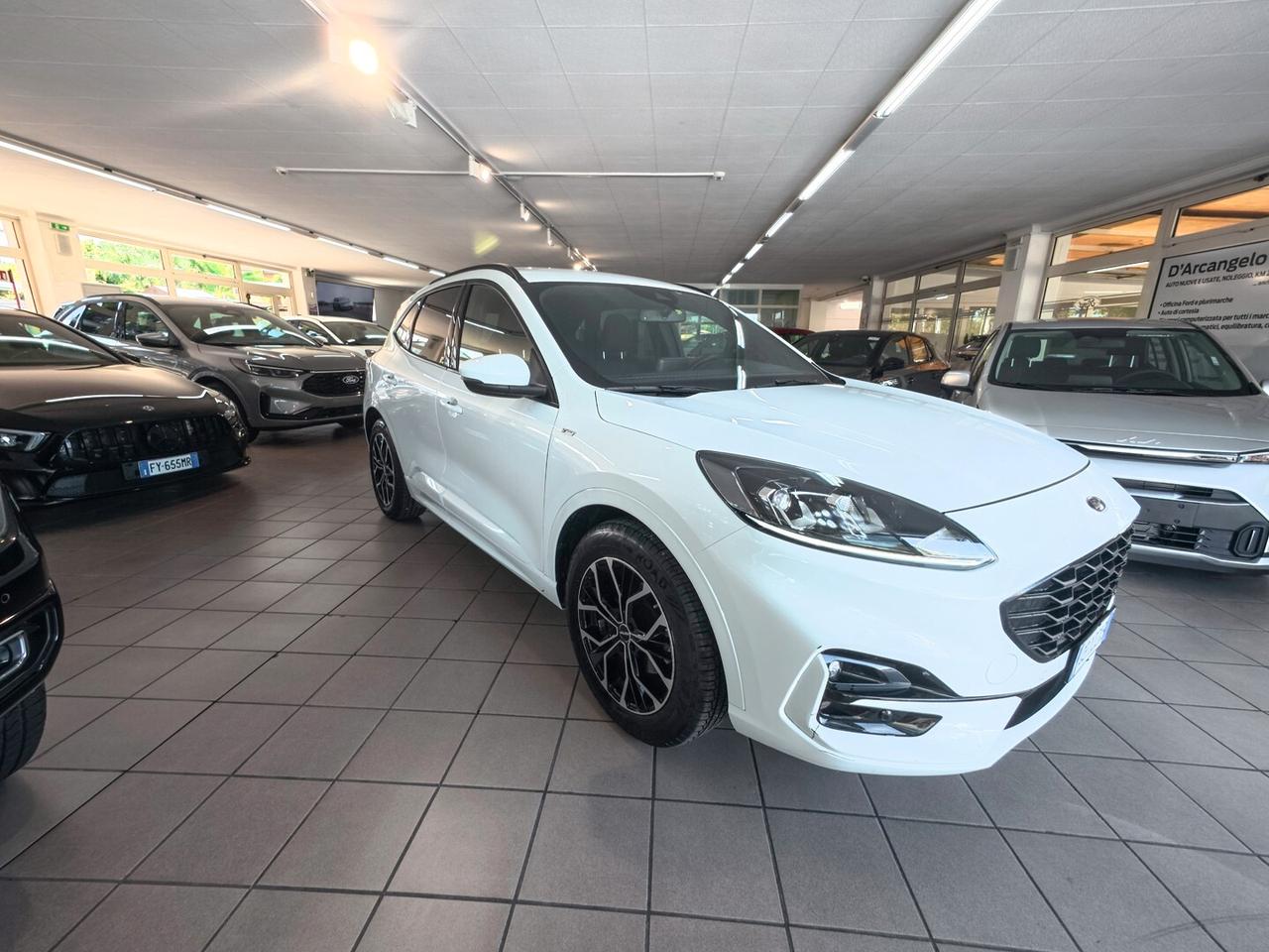 Ford Kuga 1.5 EcoBlue 120 CV 2WD ST-Line