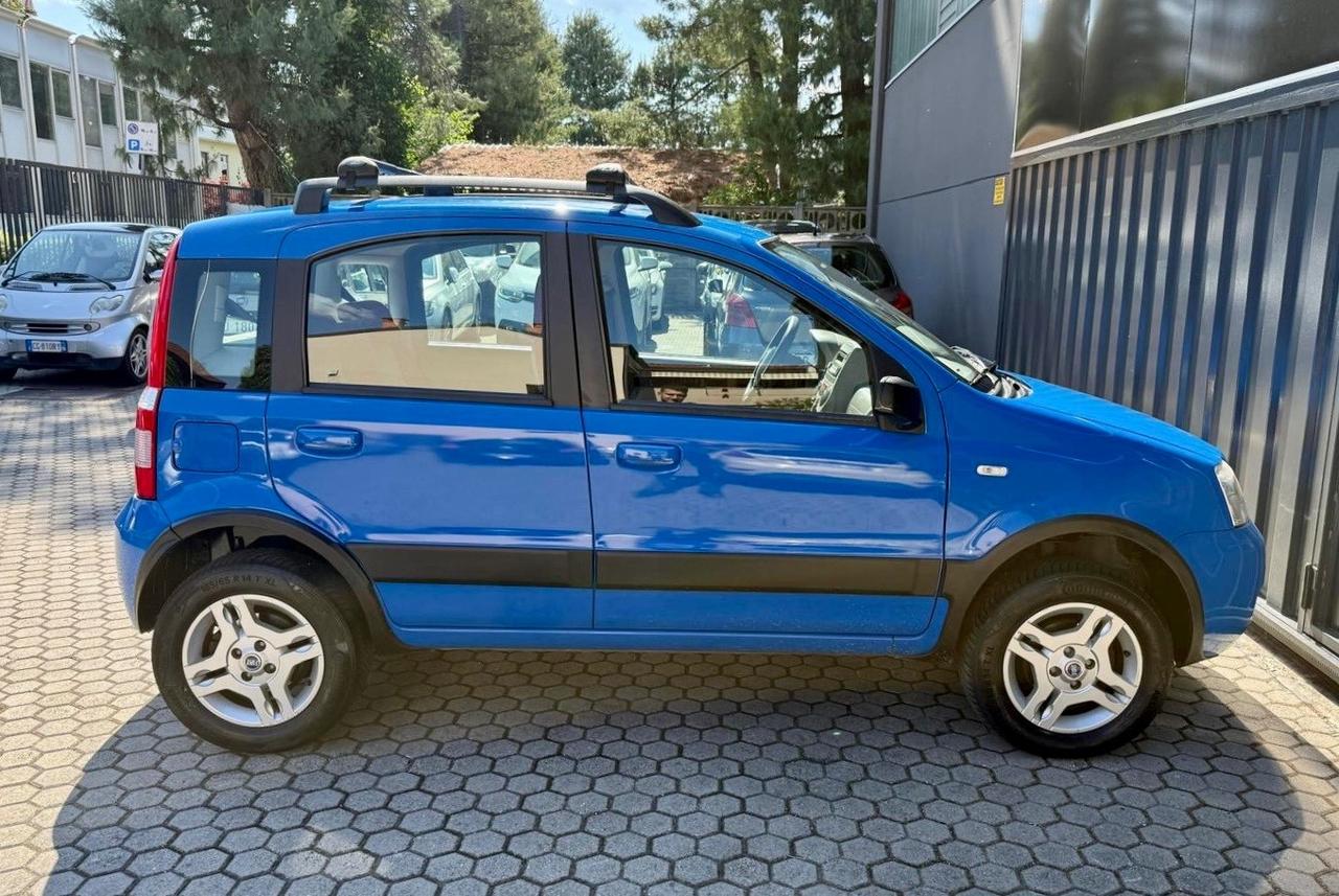 Fiat Panda 1.2 Benzina 4x4 Climbing