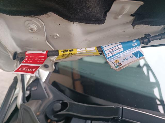 RENAULT Scenic Scénic Blue dCi 120 CV EDC CON ADATTAMENTO