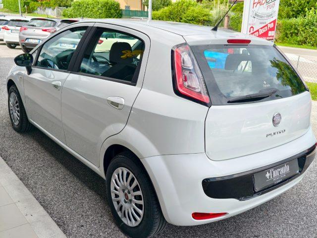FIAT Punto Evo 1.3 Mjt 75 CV 5 porte Active NEOPATENTATI